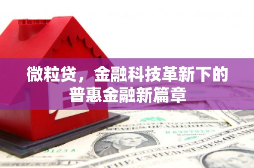 三亚微粒贷，金融科技革新下的普惠金融新篇章