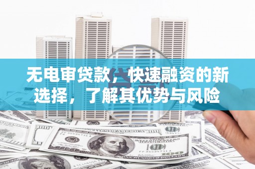 贞丰无电审贷款，快速融资的新选择，了解其优势与风险