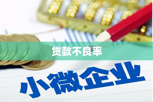 普湾新区贷款不良率