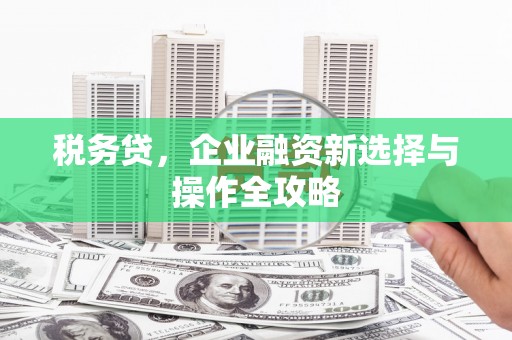 和林格尔税务贷，企业融资新选择与操作全攻略