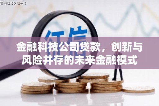 阜康金融科技公司贷款，创新与风险并存的未来金融模式