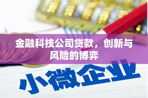 桐庐金融科技公司贷款，创新与风险的博弈