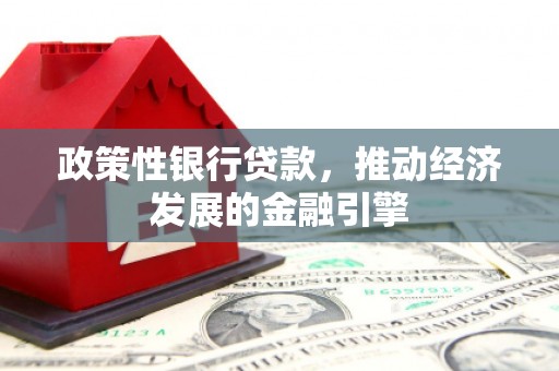 靖西政策性银行贷款，推动经济发展的金融引擎