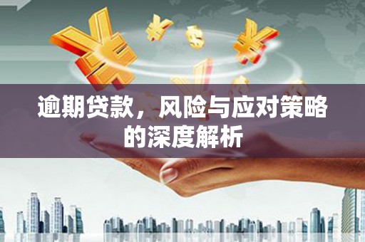 昭平逾期贷款，风险与应对策略的深度解析