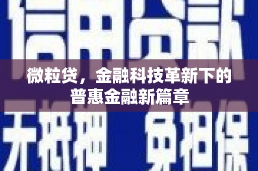 苍南微粒贷，金融科技革新下的普惠金融新篇章