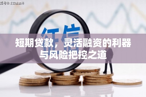 阳春短期贷款，灵活融资的利器与风险把控之道