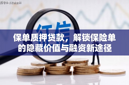 玉树保单质押贷款，解锁保险单的隐藏价值与融资新途径
