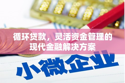 贵溪循环贷款，灵活资金管理的现代金融解决方案