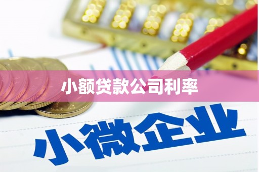 太子河小额贷款公司利率