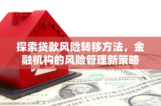 洋县探索贷款风险转移方法，金融机构的风险管理新策略