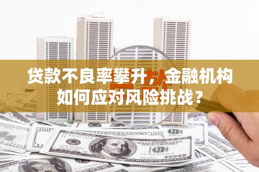 莱城贷款不良率攀升，金融机构如何应对风险挑战？
