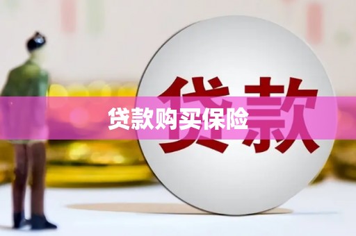 松潘贷款购买保险