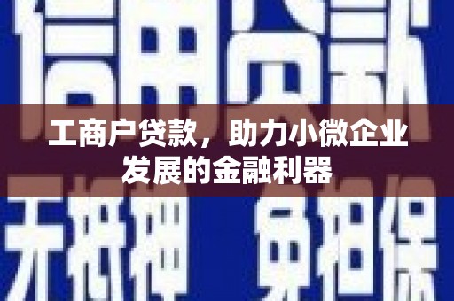 沙坡头工商户贷款，助力小微企业发展的金融利器
