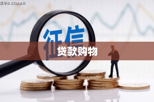 姚安贷款购物