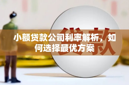 琼中小额贷款公司利率解析，如何选择最优方案
