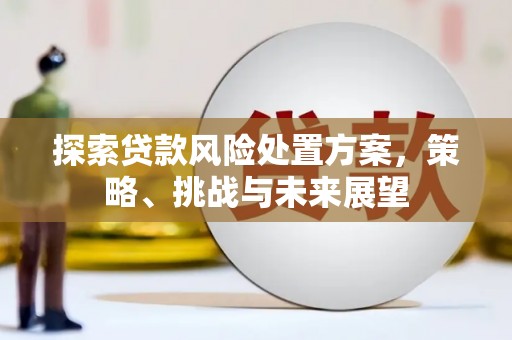 雾峰探索贷款风险处置方案，策略、挑战与未来展望