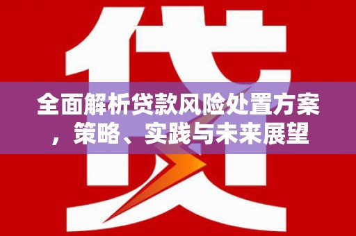 永靖全面解析贷款风险处置方案，策略、实践与未来展望