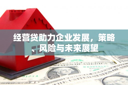 雨城经营贷助力企业发展，策略、风险与未来展望