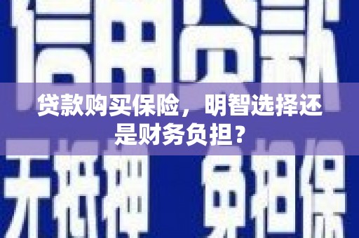 花地玛堂区贷款购买保险，明智选择还是财务负担？
