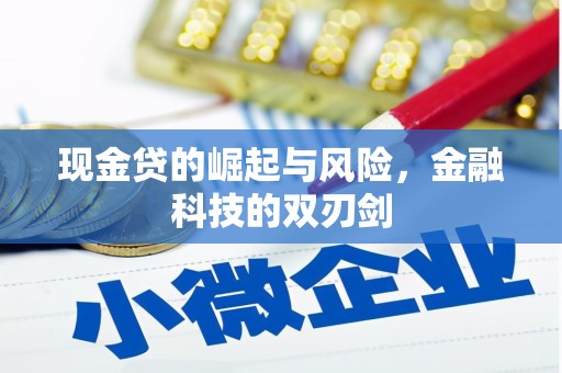 前锋现金贷的崛起与风险，金融科技的双刃剑