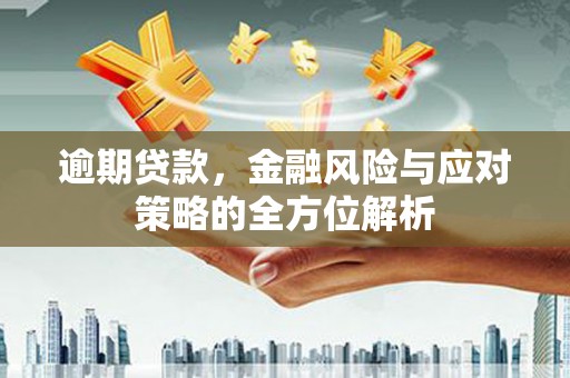 合山逾期贷款，金融风险与应对策略的全方位解析