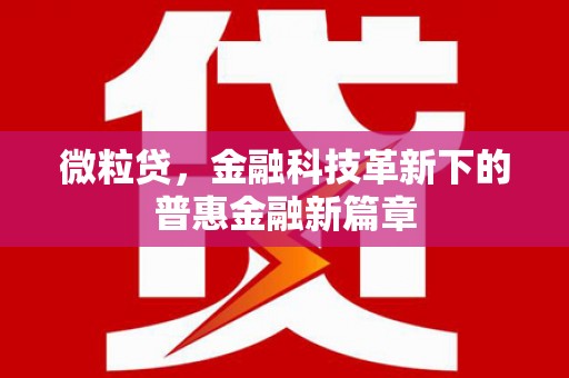 门源微粒贷，金融科技革新下的普惠金融新篇章