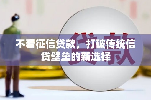 囊谦不看征信贷款，打破传统信贷壁垒的新选择