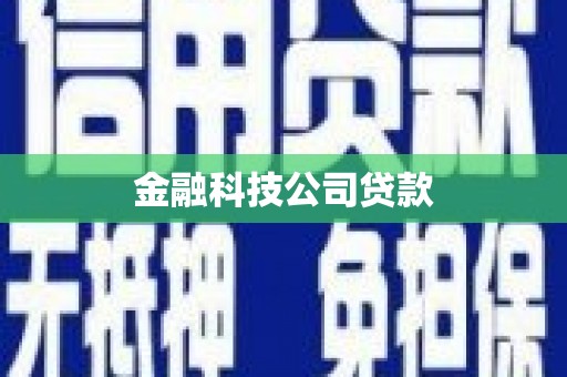 港南金融科技公司贷款
