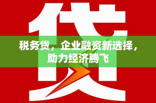 金湖税务贷，企业融资新选择，助力经济腾飞