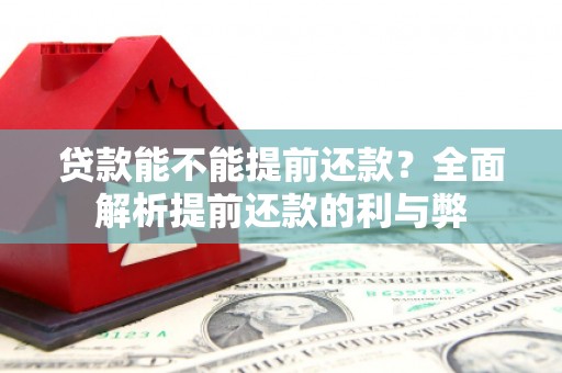 镇康贷款能不能提前还款？全面解析提前还款的利与弊