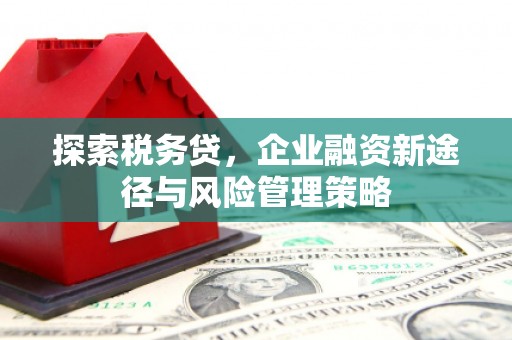 石冈探索税务贷，企业融资新途径与风险管理策略