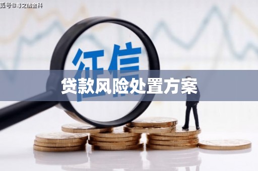 灵台贷款风险处置方案