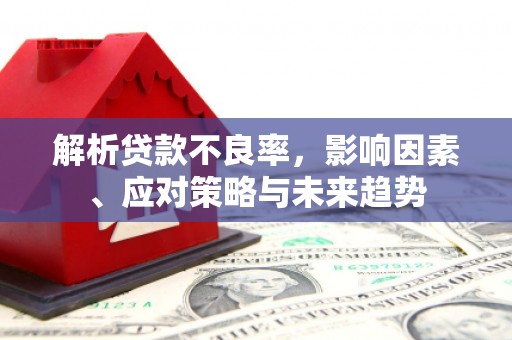 南岸解析贷款不良率，影响因素、应对策略与未来趋势