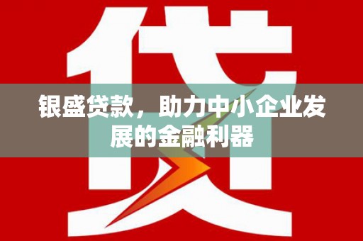 龙凤银盛贷款，助力中小企业发展的金融利器