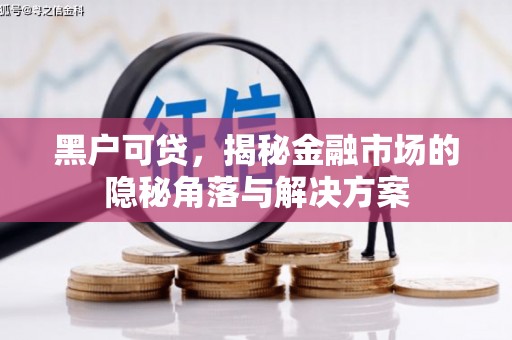 双台子黑户可贷，揭秘金融市场的隐秘角落与解决方案