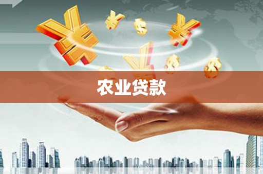 五原农业贷款