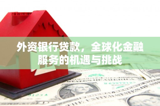 芦洲外资银行贷款，全球化金融服务的机遇与挑战