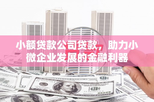 错那小额贷款公司贷款，助力小微企业发展的金融利器
