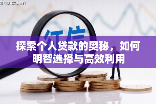 法库探索个人贷款的奥秘，如何明智选择与高效利用