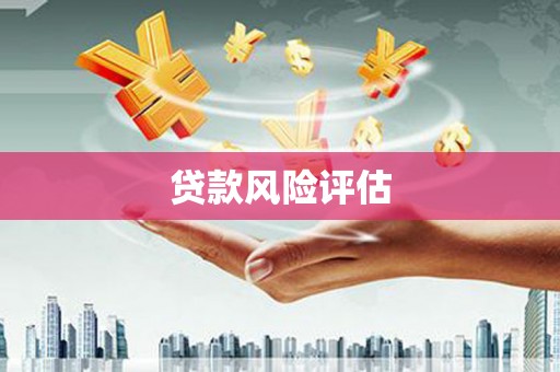 光明新区贷款风险评估