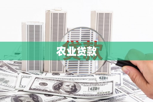 桃江农业贷款