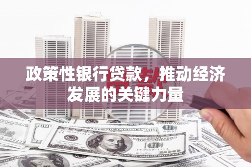 湘东政策性银行贷款，推动经济发展的关键力量