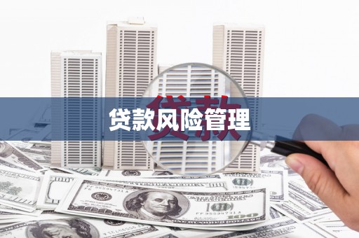 关岭贷款风险管理