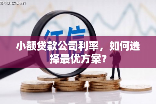 景东小额贷款公司利率，如何选择最优方案？