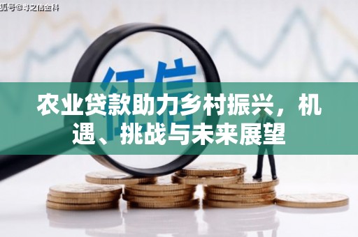 澜沧农业贷款助力乡村振兴，机遇、挑战与未来展望
