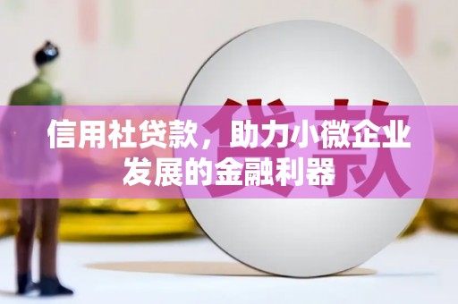 儋州信用社贷款，助力小微企业发展的金融利器