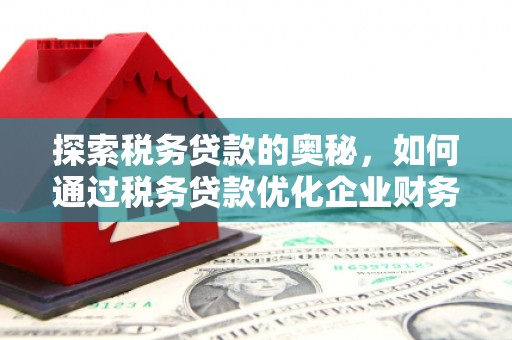 沂源探索税务贷款的奥秘，如何通过税务贷款优化企业财务