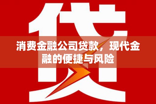 广陵消费金融公司贷款，现代金融的便捷与风险