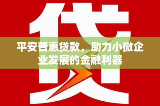 狮子平安普惠贷款，助力小微企业发展的金融利器