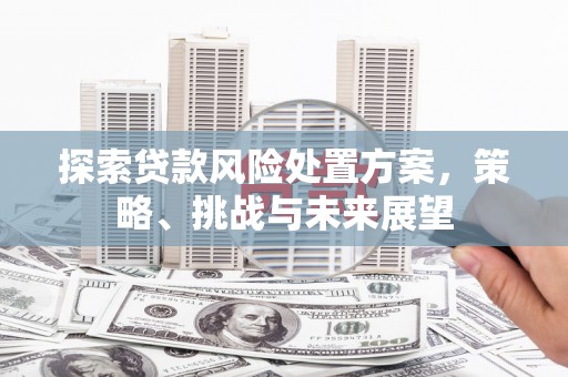 满州探索贷款风险处置方案，策略、挑战与未来展望
